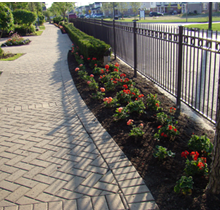 FlowerRail.png