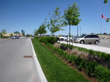Hardand Soft Landscaping Project