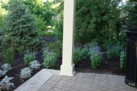 mattamy_flowers_004.jpg
